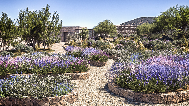 décoration aménagement intérieur architecte design illustration visuel immobilier